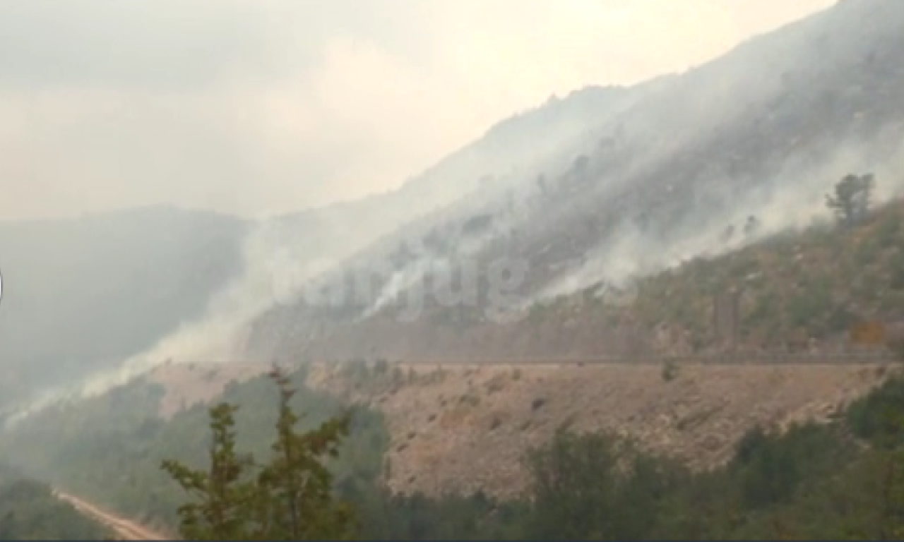VELIKI POŽAR KOD NEUMA Vatra se približila kućama, ovo selo najugroženije