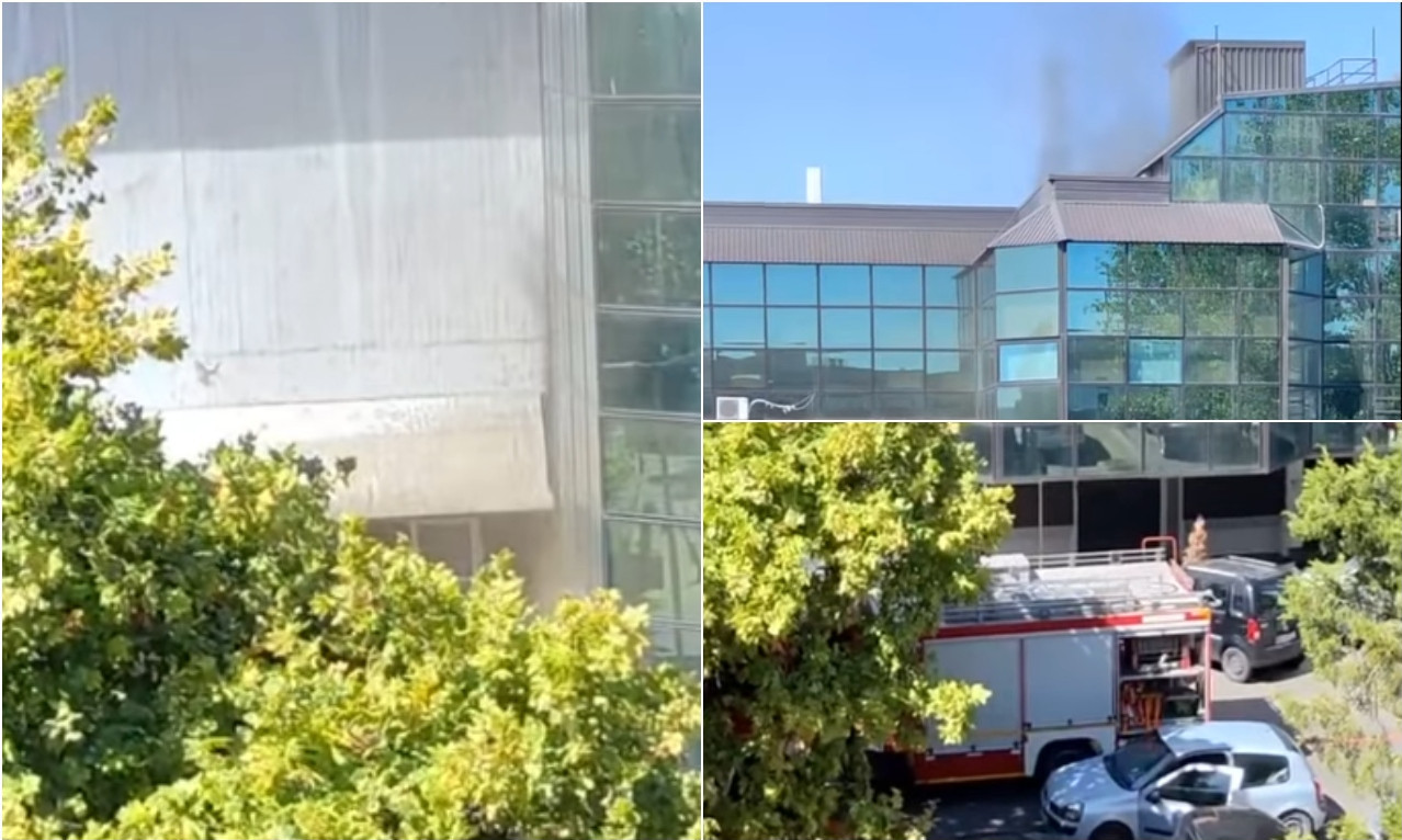 VATRENA STIHIJA GUTA FIRMU U STAROM MERKATORU Alarmantno na Novom Beogradu (FOTO)