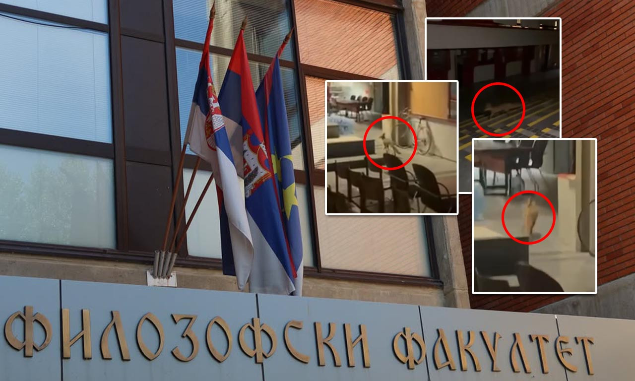 DEKAN IZBACIO BLOKADERE S FILOZOFSKOG FAKULTETA Pogledajte šta su ostavili za sobom, u holu bila i lisica!? (VIDEO)