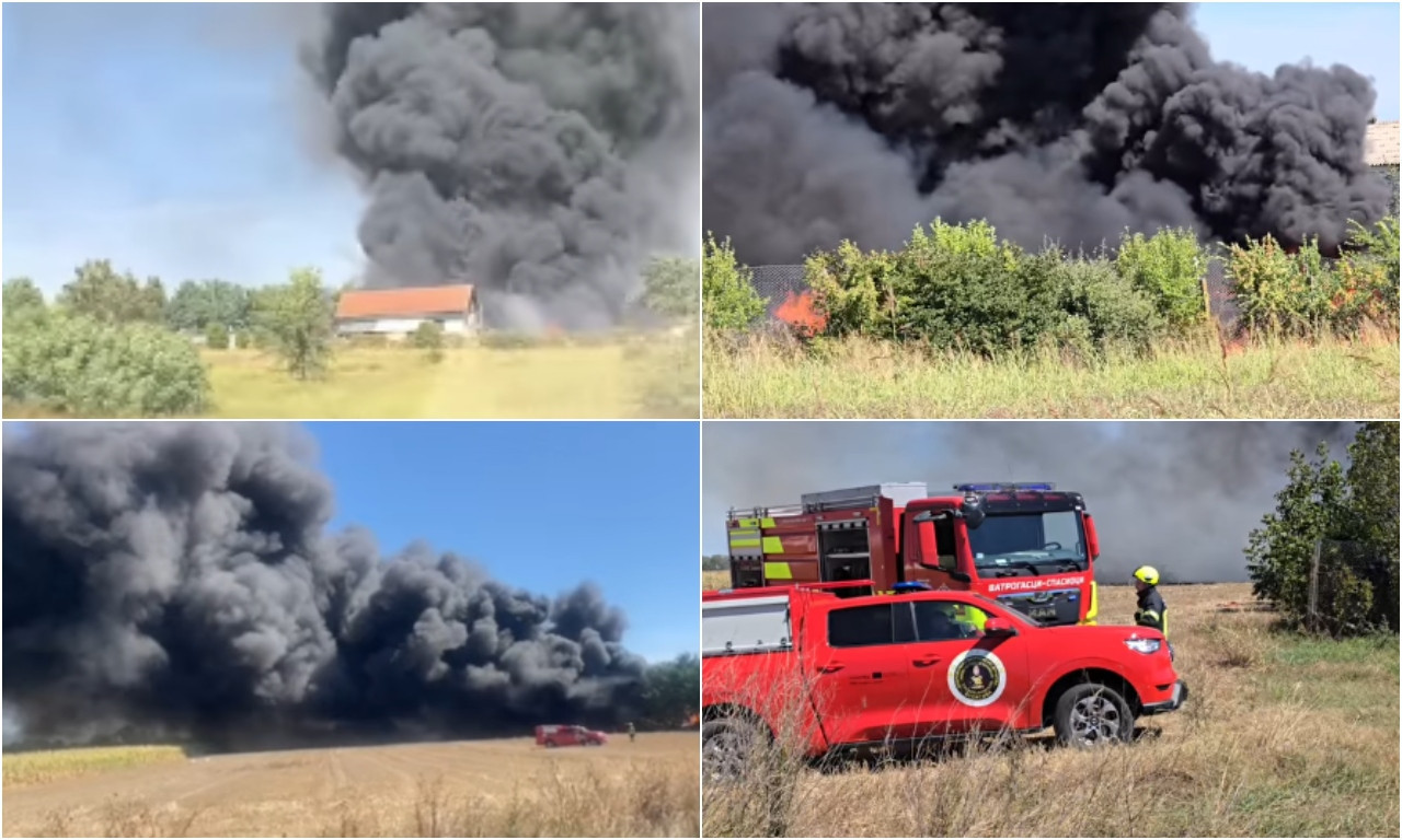 OD JEDNOG PLAMENA DO BUKTINJE I DETONACIJA Ovako je krenuo požar kod Novog Sada