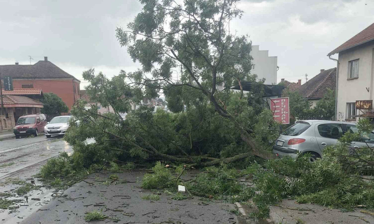 SNAŽNO NEVREME NAPRAVILO HAOS U ČAČKU! Drveće padalo na ulice, vozilo oštećeno (FOTO)