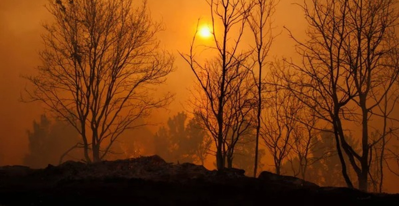 VATRA NE POSUSTAJE Šumski požari haraju, ugrožena ogromna prostranstva!