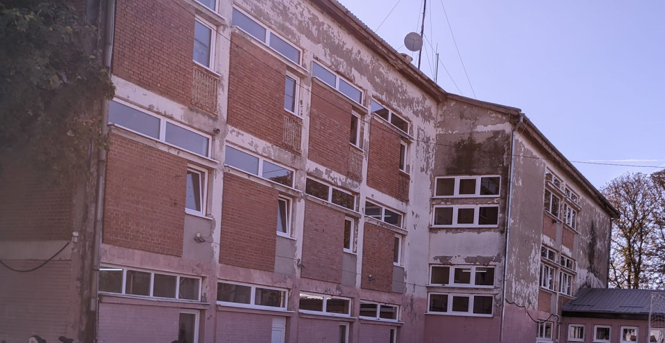 PACOVI SE POJAVILI U VRTIĆU  Način na koji su ih otkrili zgrozio je roditelje! Užas u Banatu