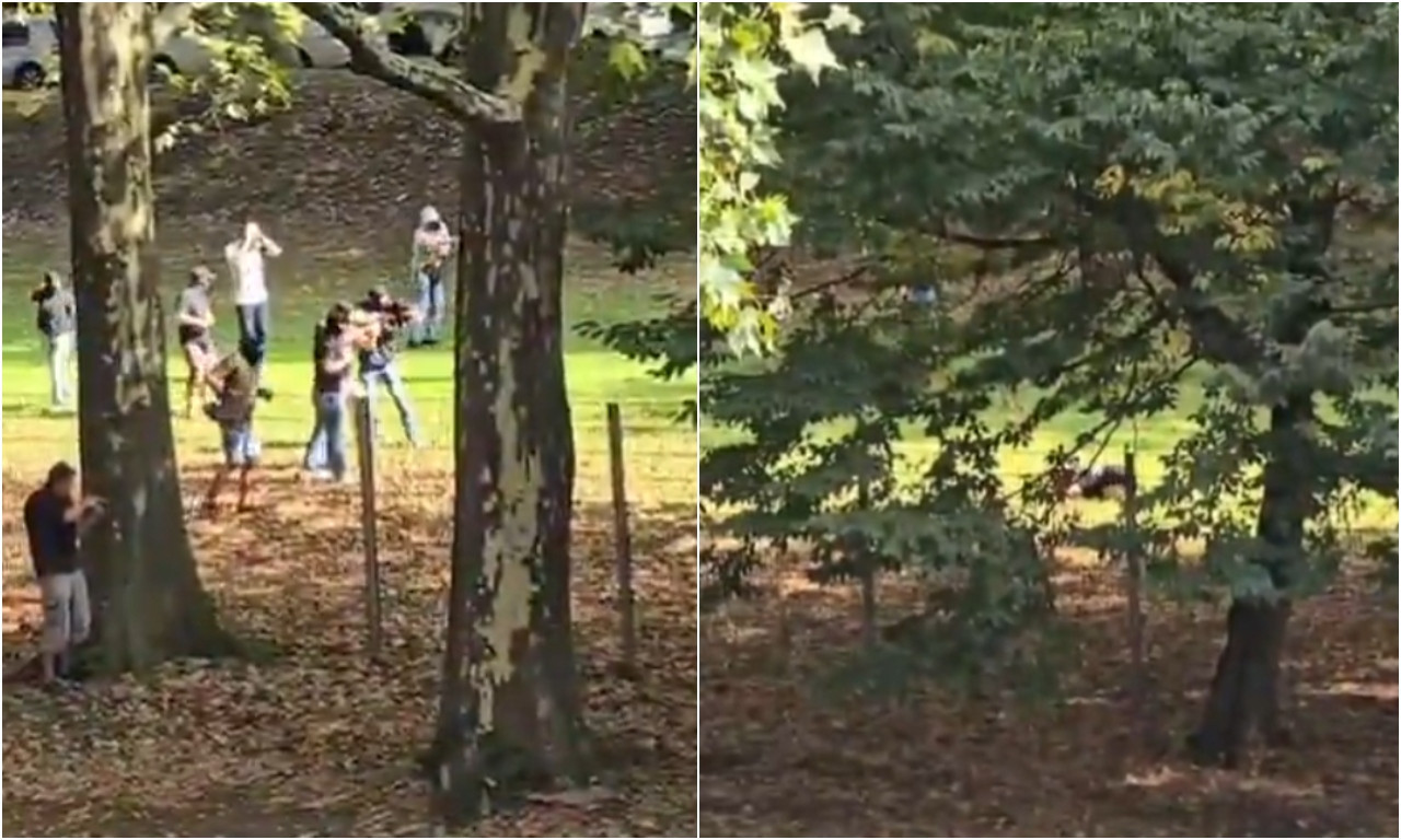 NEMAČKA POLICIJA PUCA U UČENIKA SA KOSOVA! Uznemirujuće scene posle napada na profesorku (VIDEO)