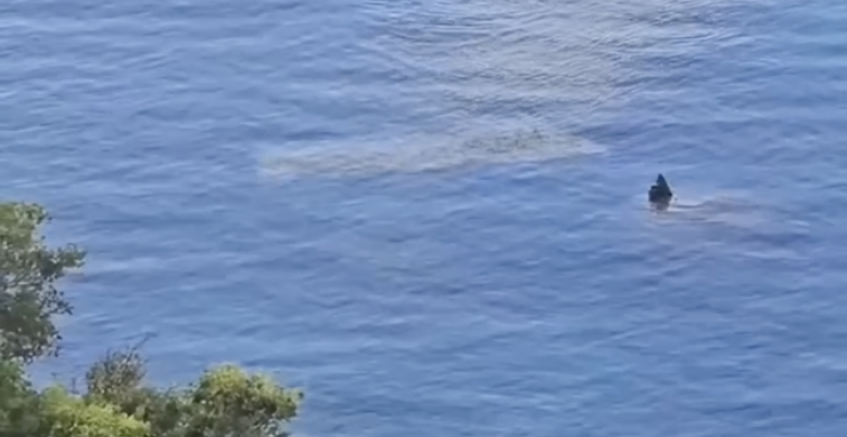 DA LI NEKO ZNA ŠTA JE OVO? Šok snimak iz Crne Gore - pogledajte misteriozno "ključanje" mora koje ide ka obali (VIDEO)