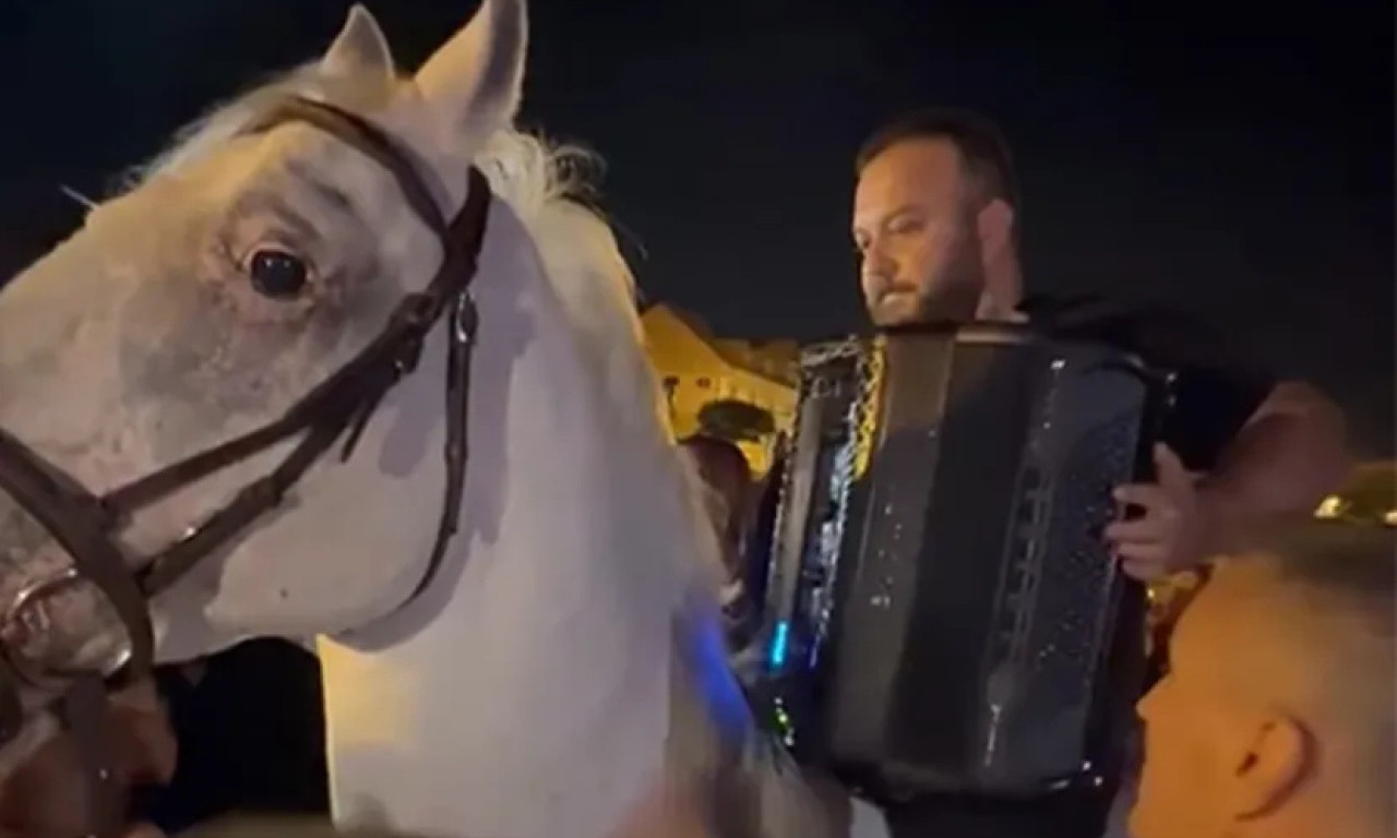 BORKA RADIVOJEVIĆA POPELI NA BELOG KONJA Onda je čuveni harmonikaš zasvirao, neverovatan snimak iz Surčina (VIDEO)