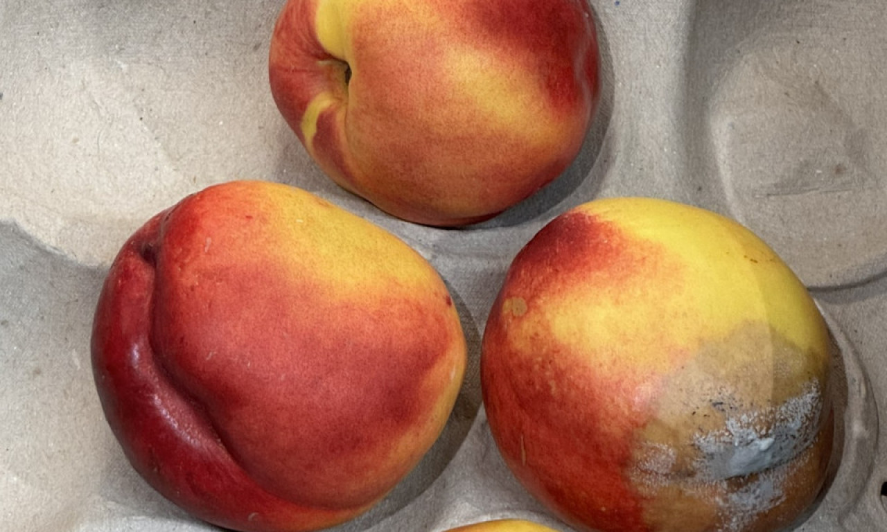 LIDL U SRBIJI PRODAJE TRULO VOĆE! Na akciji za 340 dinara kilo - Kupci ogorčeni: „Jel ovako rade i u Nemačkoj?“ (FOTO)