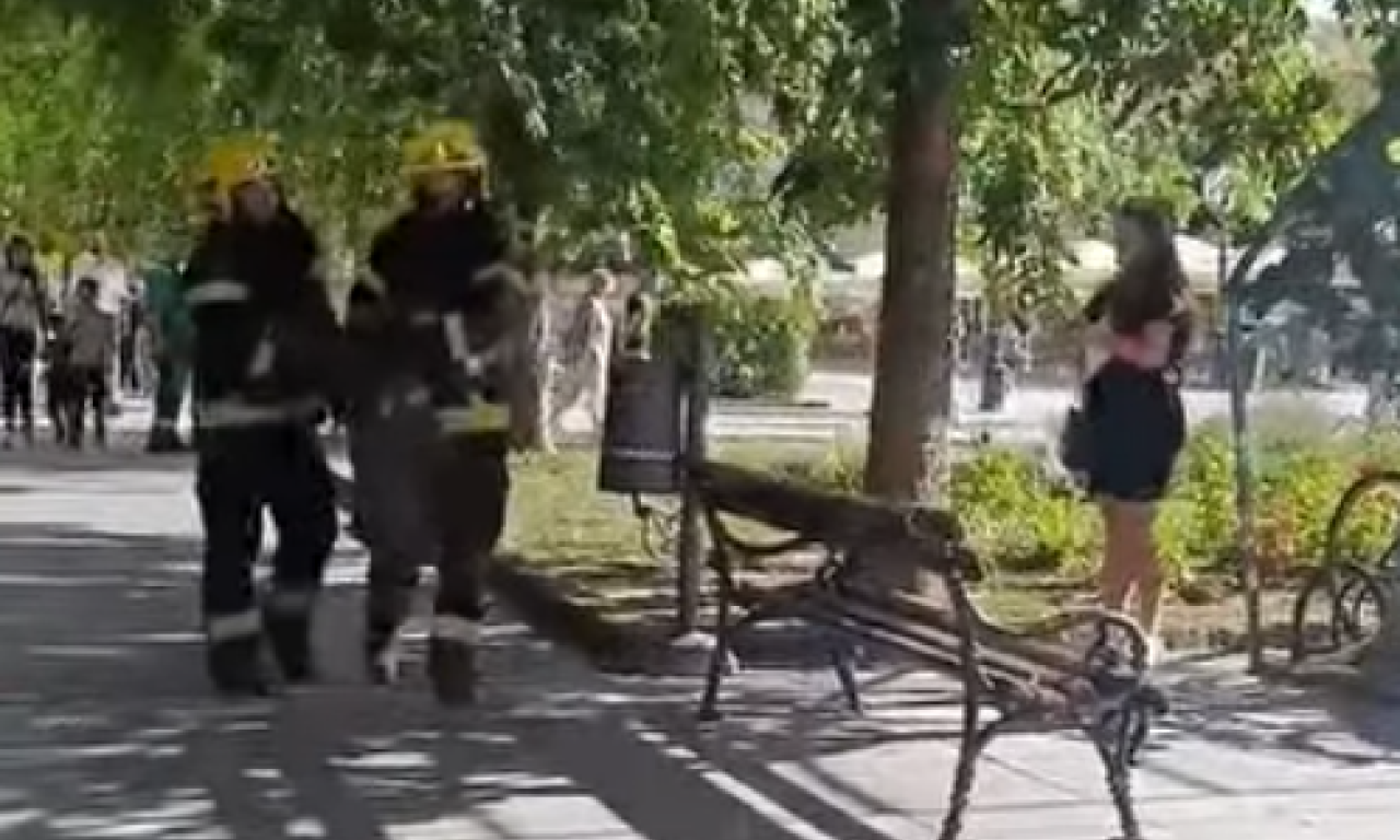 NEOBIČNA ŽIVULJKA PRIMEĆENA U CENTRU SOMBORA Vatrogasci je jurili ulicama (VIDEO)