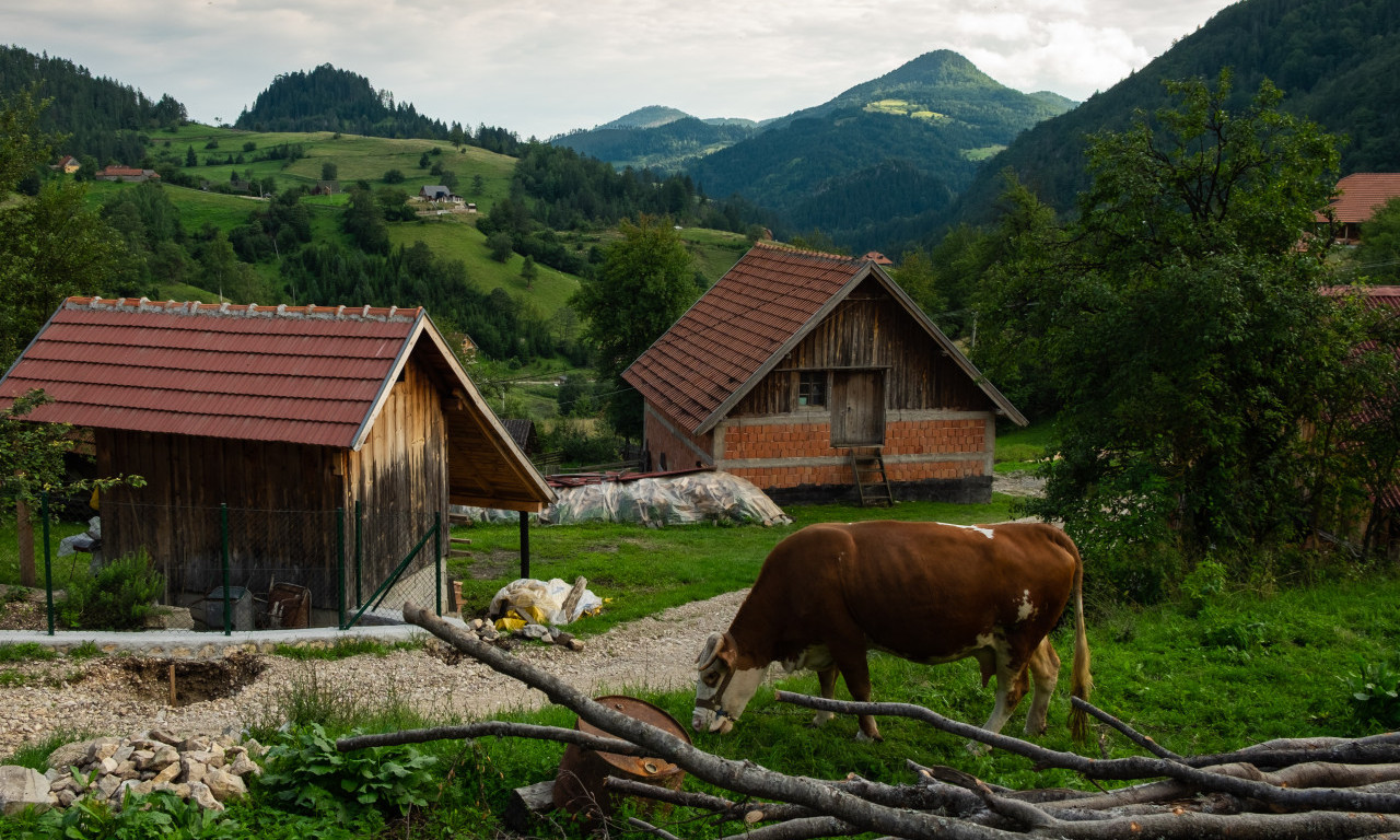 DRŽAVA DAJE PO 20.000 DINARA! Ovo su uslovi za prijavu i evo ko može da dobije subvencije