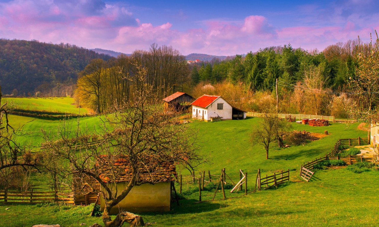 DOBRICA ERIĆ: Pesnik koji je umeo da čuje kako Šumadija diše