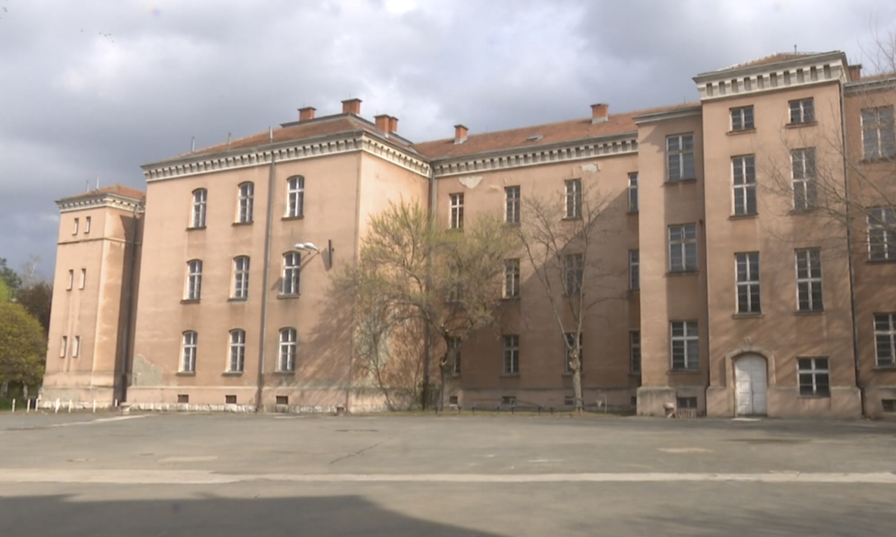 TRAGEDIJA U NIŠU! Žena preminula nakon što je na nju palo drvo u dvorištu suda