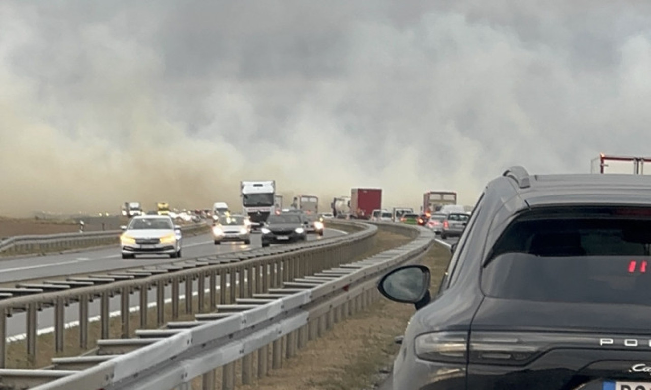 OGROMAN POŽAR SE ŠIRI KA AUTO-PUTU ZA NOVI SAD Vatra guta sve pred sobom, vozači jedva prolaze kroz dim (FOTO + VIDEO)