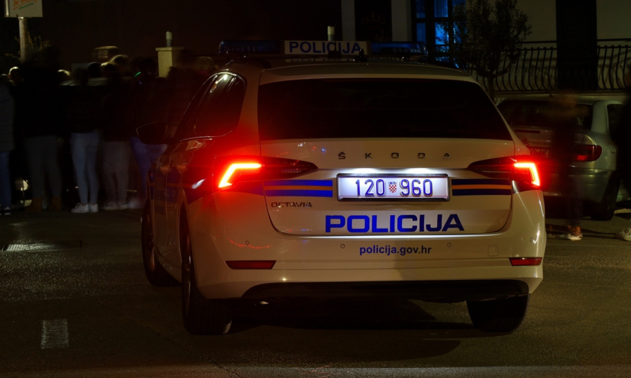 SNIMAK POKUŠAJA LINČOVANJA SRBA U ZAGREBU Evo kako se odigrala drama ispred Srpskog kulturnog centra (VIDEO)