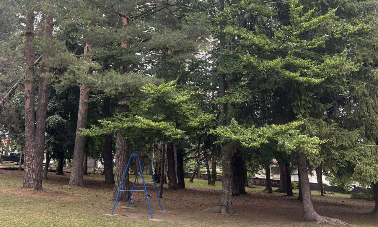 SRBIJU U NOVEMBRU POSETILO 304.000 TURISTA Jedna planina sve popularnija destinacija