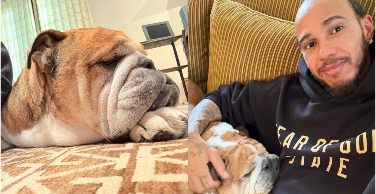 KO JE ROSKO, PAS LUISA HAMILTONA, ZBOG KOG PLAČE CEO SVET Najpoznatiji ljubimac Formule 1 umro vlasniku na rukama (FOTO)