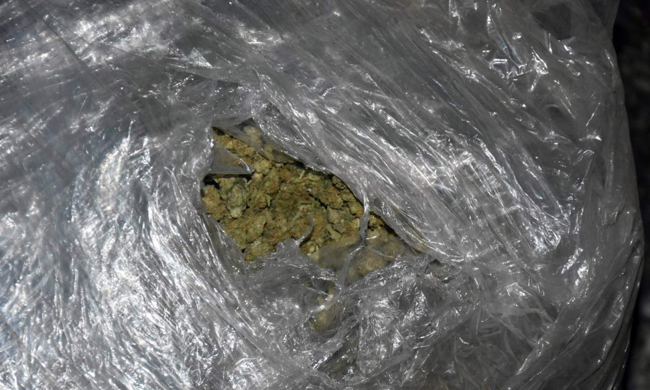 U KUĆI KOD SOPOTA OTKRIVENA LABORATORIJA ZA UZGOJ MARIHUANE: Zaplenjeno 10 kilograma droge