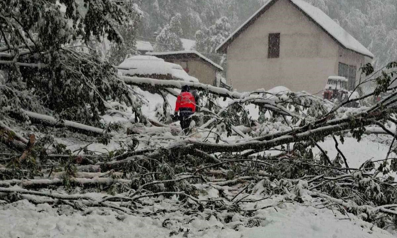 STABLO PALO POD TEŽINOM SNEGA I UBILO ŽENU Nije joj bilo pomoći!