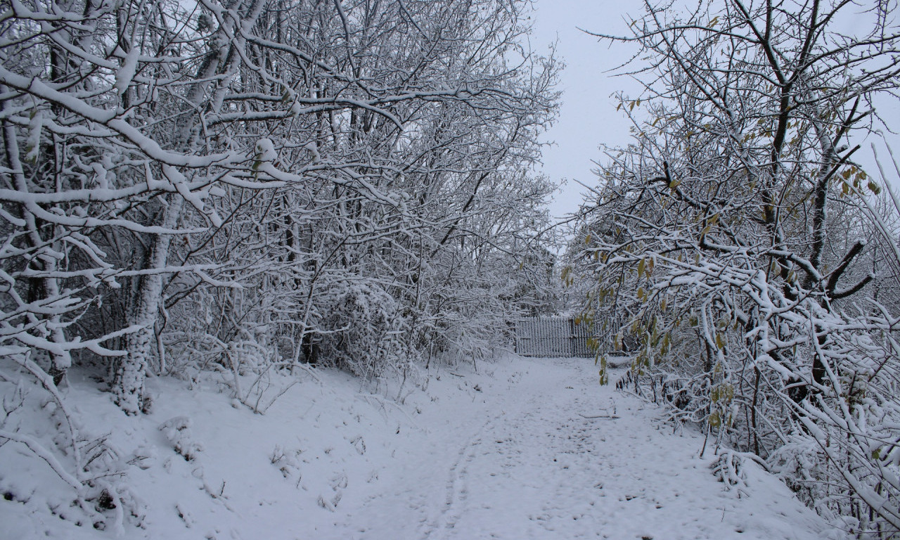 STIŽE SNEG U SRBIJU Oglasio se RHMZ - evo koje delove zemlje očekuju padavine narednih dana