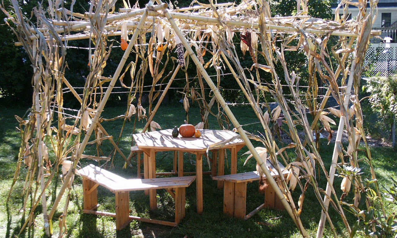 POČINJE SUKOT Praznik radosti, zahvalnosti i zajedništva u jevrejskoj tradiciji