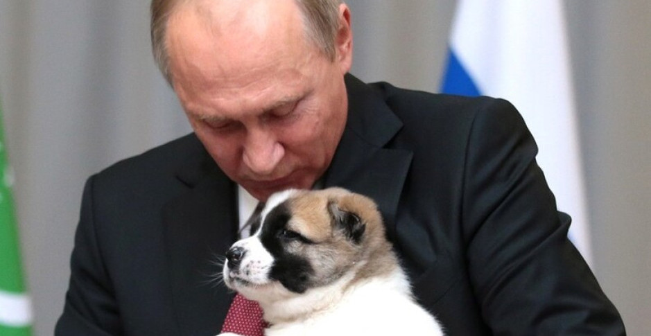 CENE U EVROPI VRTOGLAVO RASTU Putin se smeje dok "bogati Zapad" plače. Da li će Srbija biti izuzetak?