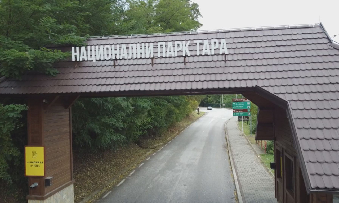KO NE MORA DA PLAĆA ULAZ U NACIONALNI PARK TARA Ovo su mnogi čekali