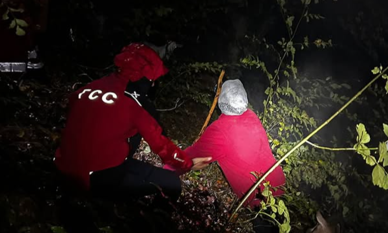 DRAMA KOD SURDULICE Baka izvela koze na ispašu, pa se izgubila - spasioci odmah krenuli u akciju (FOTO+VIDEO)
