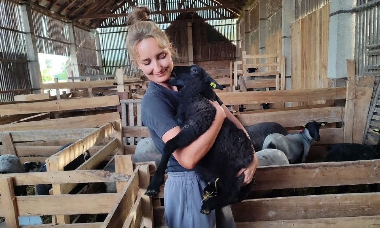 SILVIJA MALETIĆ IZ BOGATIĆA Stvorila svoju farmu ovaca, ali i sopstvena pravila – „Zašto žena ne bi bila gazda na selu?“