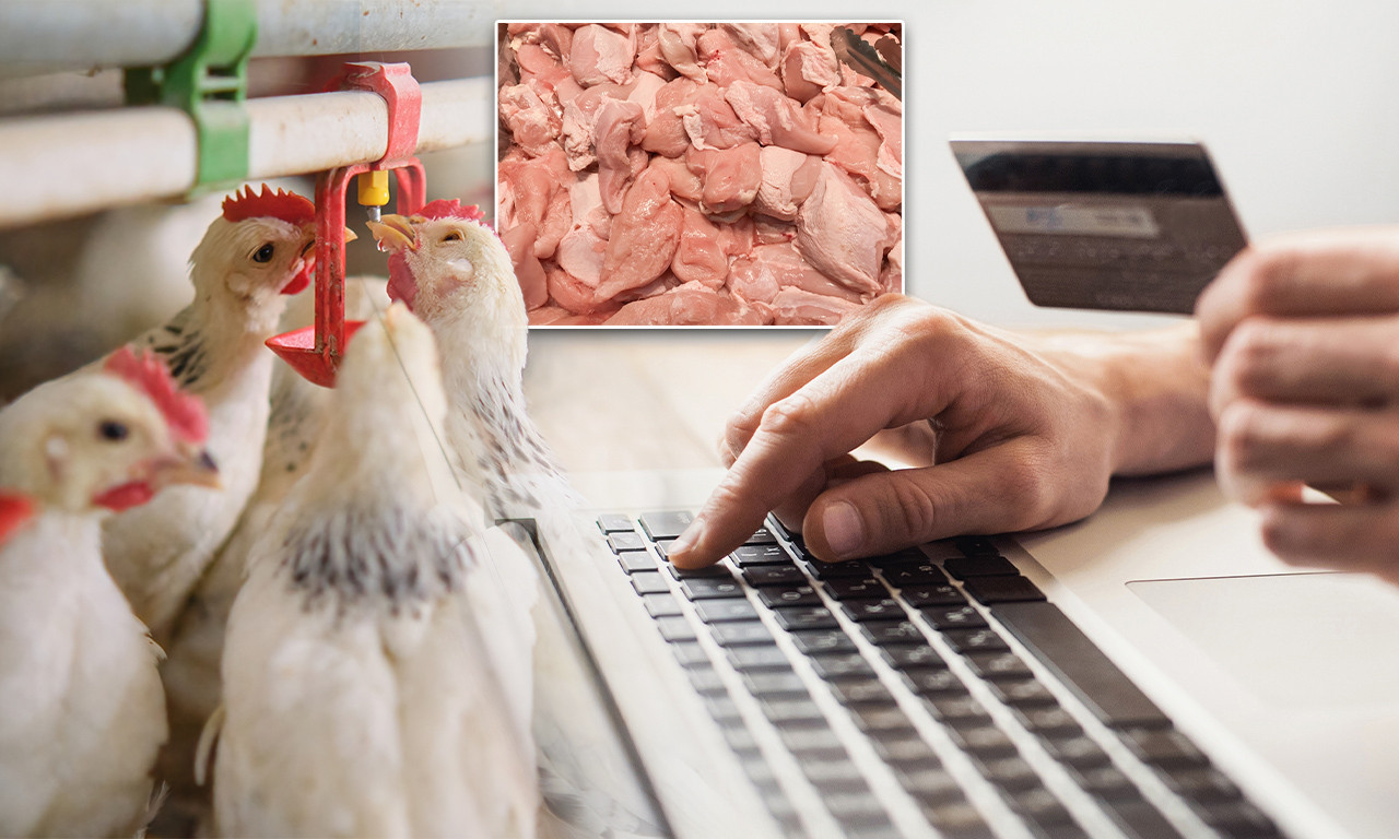 PRODAJU MRŠAVE OVCE, PA NUDE ZECA ZA PRIPLOD! Nećete verovati čime se sve trguje onlajn u Srbiji