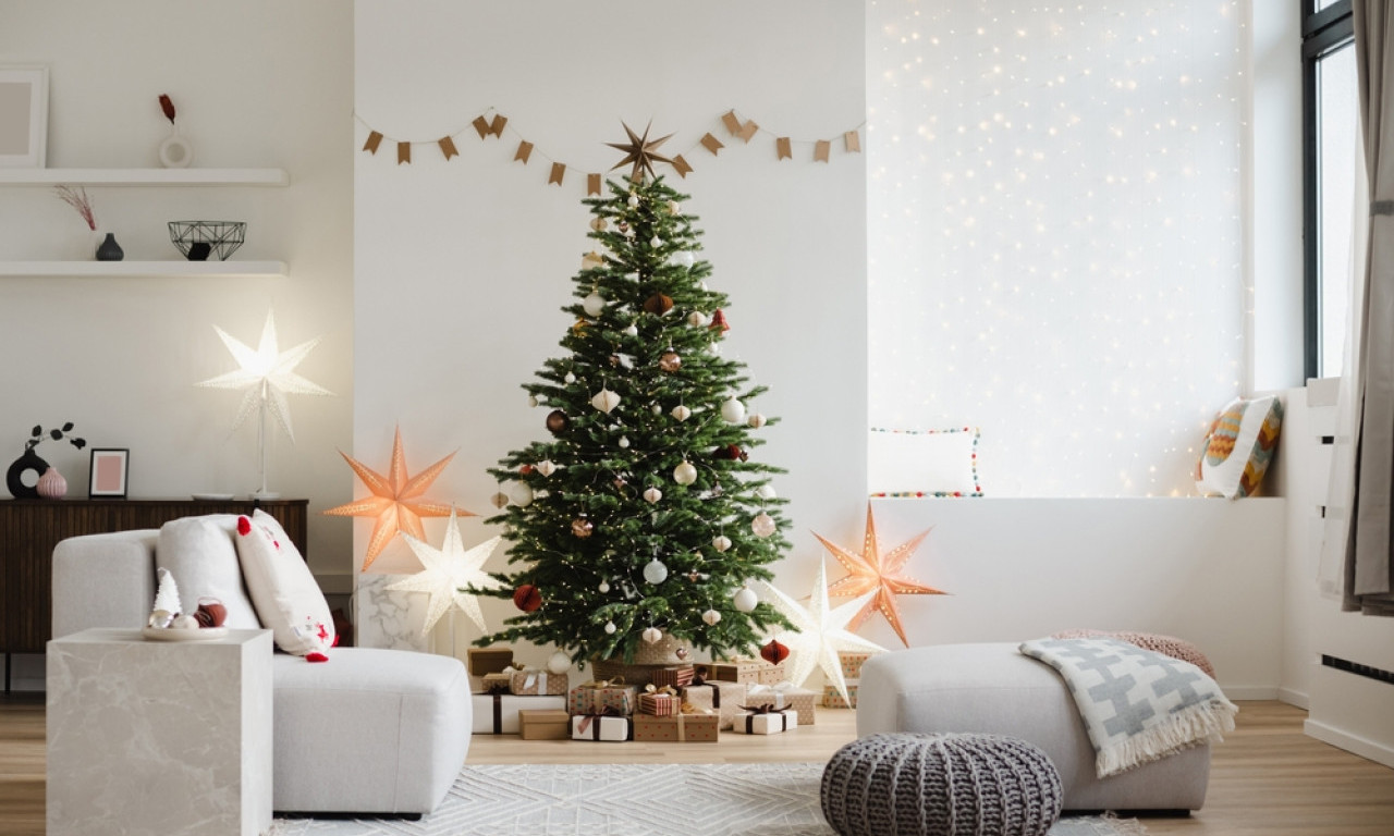 OVE UKRASE BOLJE PRESKOČITE Ako želite da vam praznici budu bez stresa, poslušajte ove savete