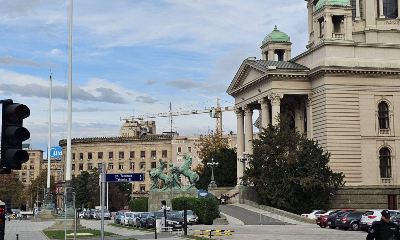 OPTUŽEN VLADAN KOJI JE PUCAO U ČOVEKA ISPRED SKUPŠTINE, PA ZAPALIO ŠATOR Pored robije, moraće i na lečenje?