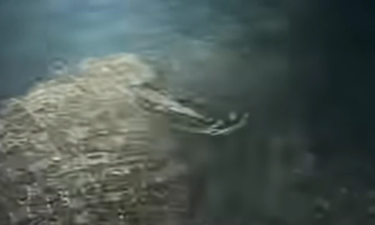 MLADI JOSIP PECAO NA MORU, PA IZVUKAO ČUDO Ulov odmah završio na istraživanju (VIDEO)