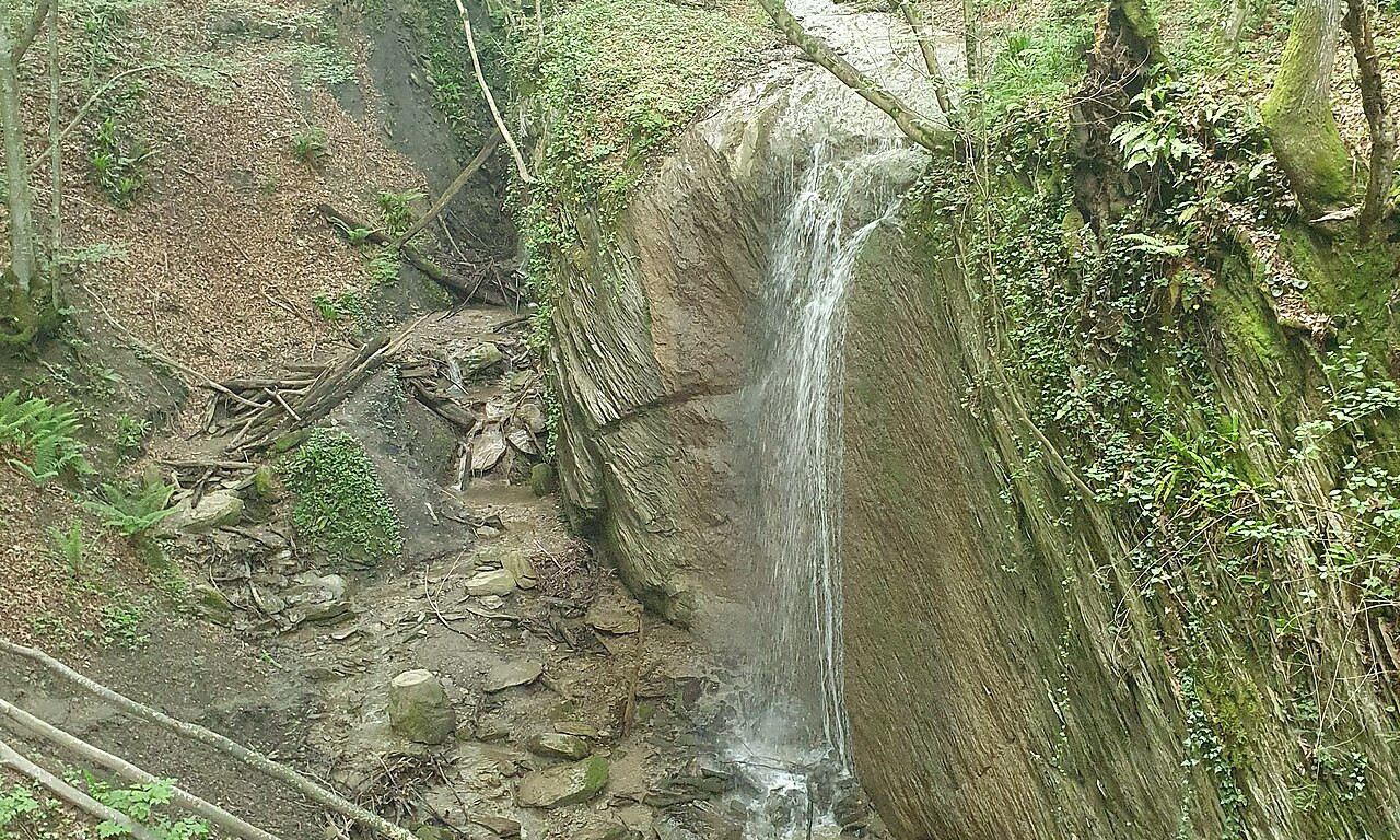 CRNOGORAC SLUŠAO ChatGPT, PA ZAVRŠIO U POTOKU Ovako je izgledala dramatična akcija spasavanja