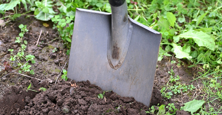 SREĐIVAO BAŠTU U VRTU, PA NAIŠAO NA MISTRERIOZNO OTKRIĆE Odmah je pozvao policiju, sumnja se na ovo (FOTO)