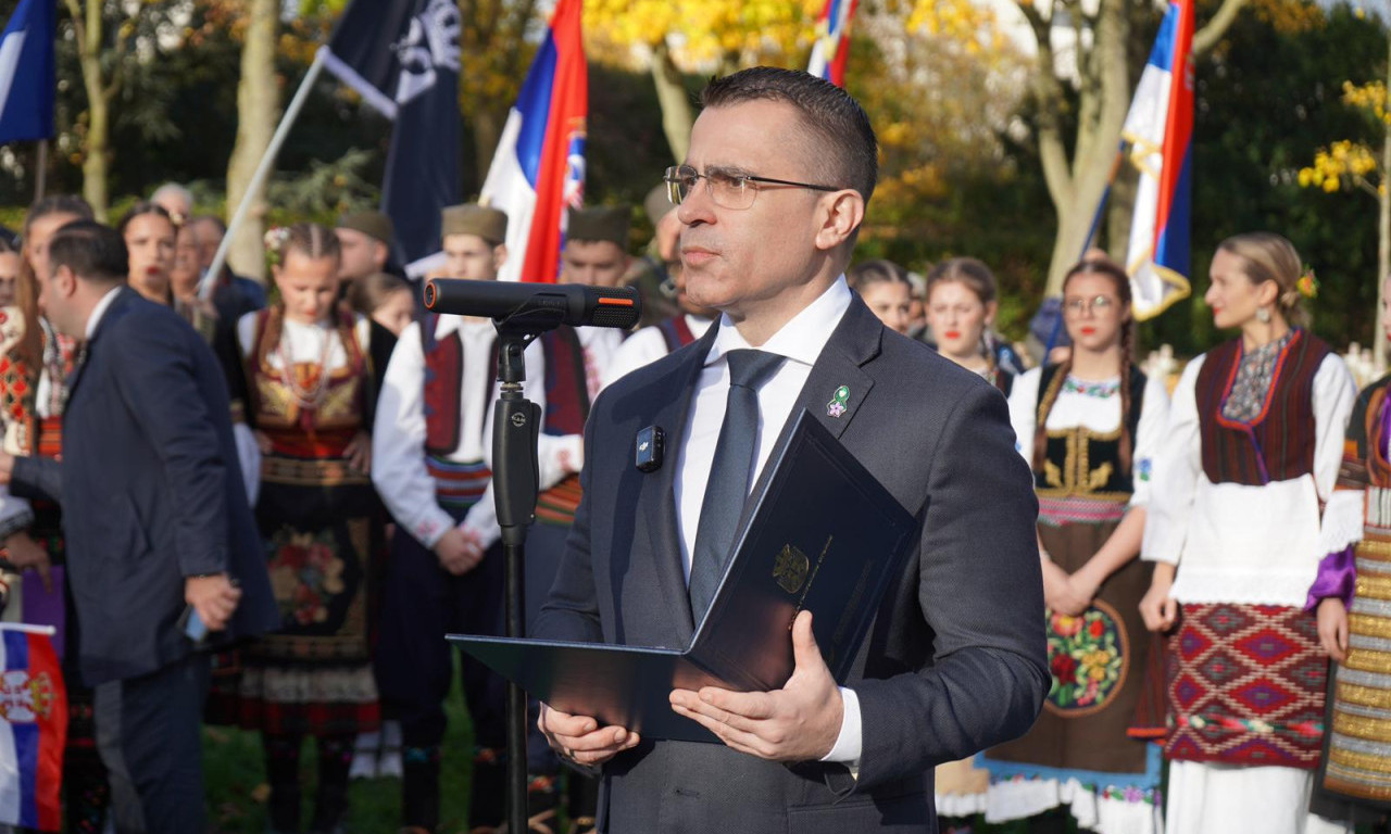 MINISTAR MILIĆEVIĆ NA OBELEŽAVANJU DANA PRIMIRJA: "U Prvom svetskom ratu svaki treći Srbin nije preživeo" (FOTO)