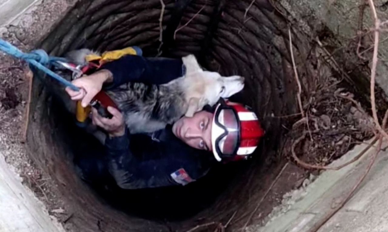 NEVEROVATNA AKCIJA! Spasioci se spustili u bunar dubok 15 metara i izvukli štene (FOTO)