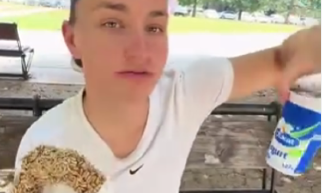 AMERIKANKA ODUŠEVLJENA ŠTRUDLOM SA MAKOM U SRBIJI Evo šta je još probala (VIDEO)
