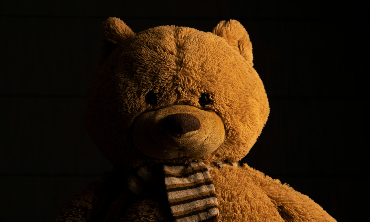 DECI PRIČAO O VEZIVANJU I RAZNIM FETIŠIMA Plišani medvedić sa veštačkom inteligencijom povučen sa tržišta (VIDEO)