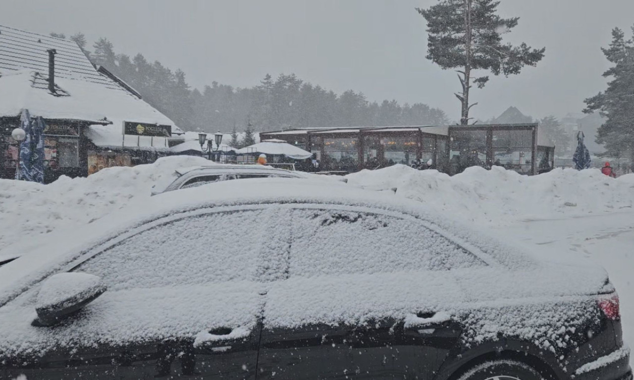 BELA OLUJA NAPRAVILA KATAKLIZMU NA OVOJ SRPSKOJ PLANINI Snežni zid lomio grane i stabla, zima stisla zube u ovom delu zemlje (FOTO)