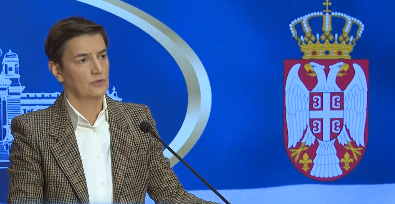 BRNABIĆ NAKON NAPADA NA ĆACILEND: "Pesnicom su udarili devojku i krenuli da ruše šatore..." (FOTO+VIDEO)