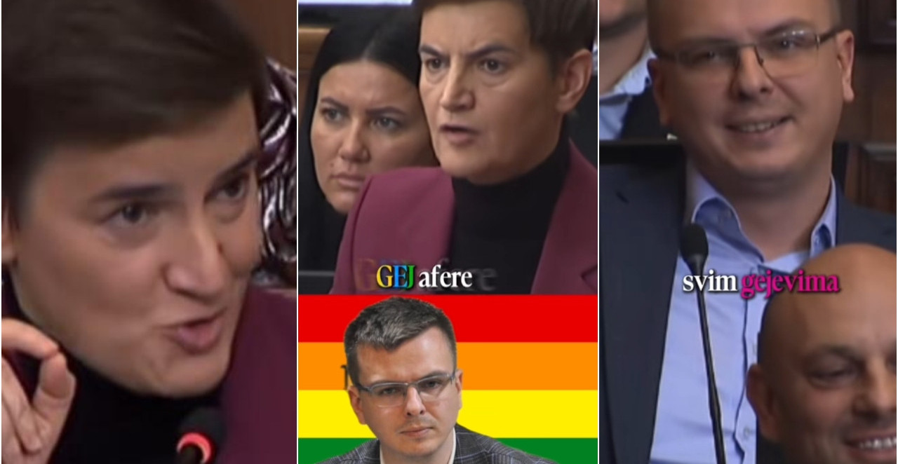 GEJ AFERA U SKUPŠTINI SRBIJE Cela sala prasnula u smeh! Brnabić: "E, znate šta Pajiću..."