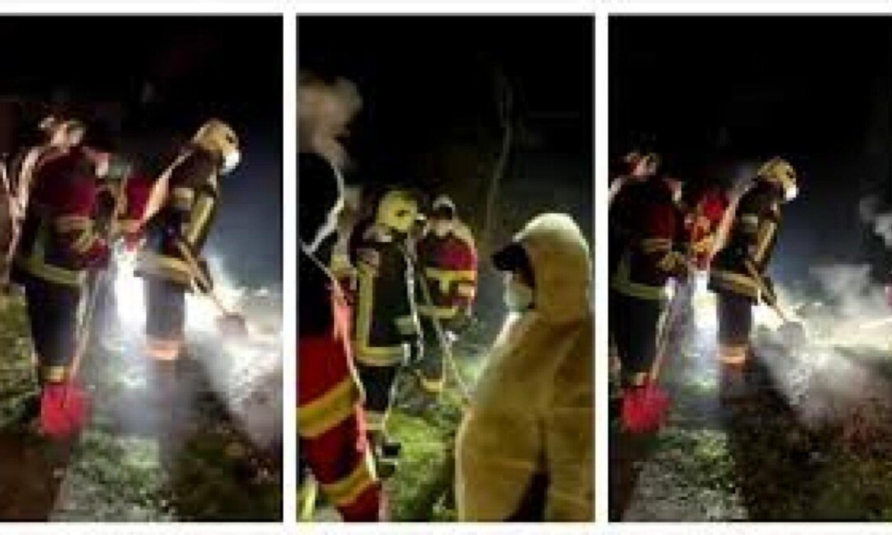 OTKRIVEN HOROR KOD NEGOTINA: Žena pronađena zakopana, supruga ubice priznala zločin - sin video sve (VIDEO)