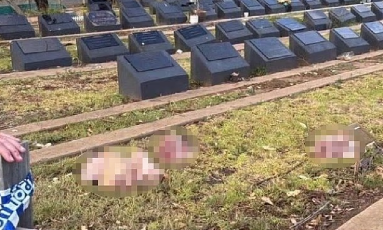 UŽAS NA GROBLJU NAKON TERORISTIČKOG NAPADA U SIDNEJU Oskrnavljeni muslimanski grobovi - bačene glave (FOTO)
