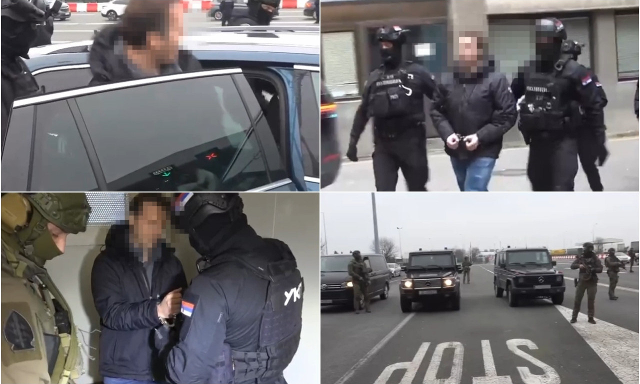 DA LI ĆE HAPŠENJE ZVICEROVOG KUMA ODVESTI POLICAJCE DO KRALJA PODZEMLJA? Ovako je Zdravković pao u klopku - da li je vreme da padne i vođa?