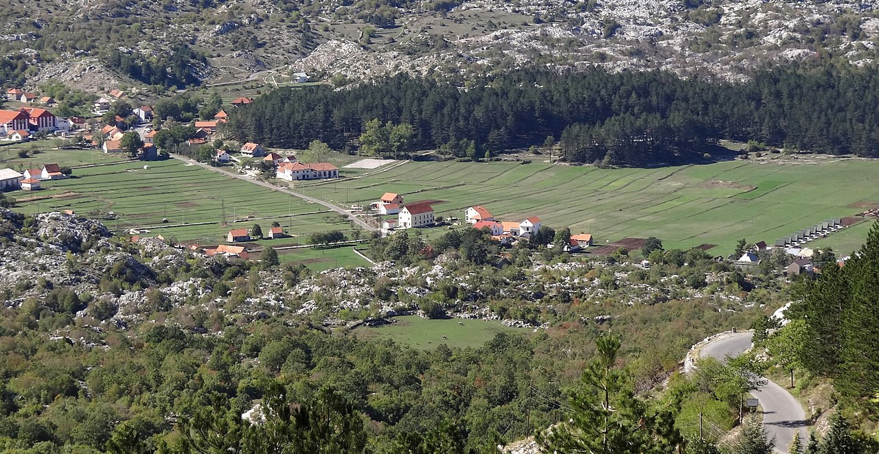 SRBIN KAŽNJEN I PROTERAN IZ CRNE GORE Razlog je neverovatan!