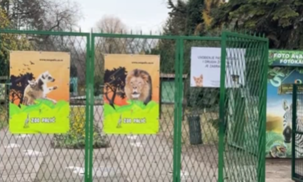 MANDIĆ: Sve životinje u Palićkom Zoo vrtu imaju kvalitetnu hranu i negu