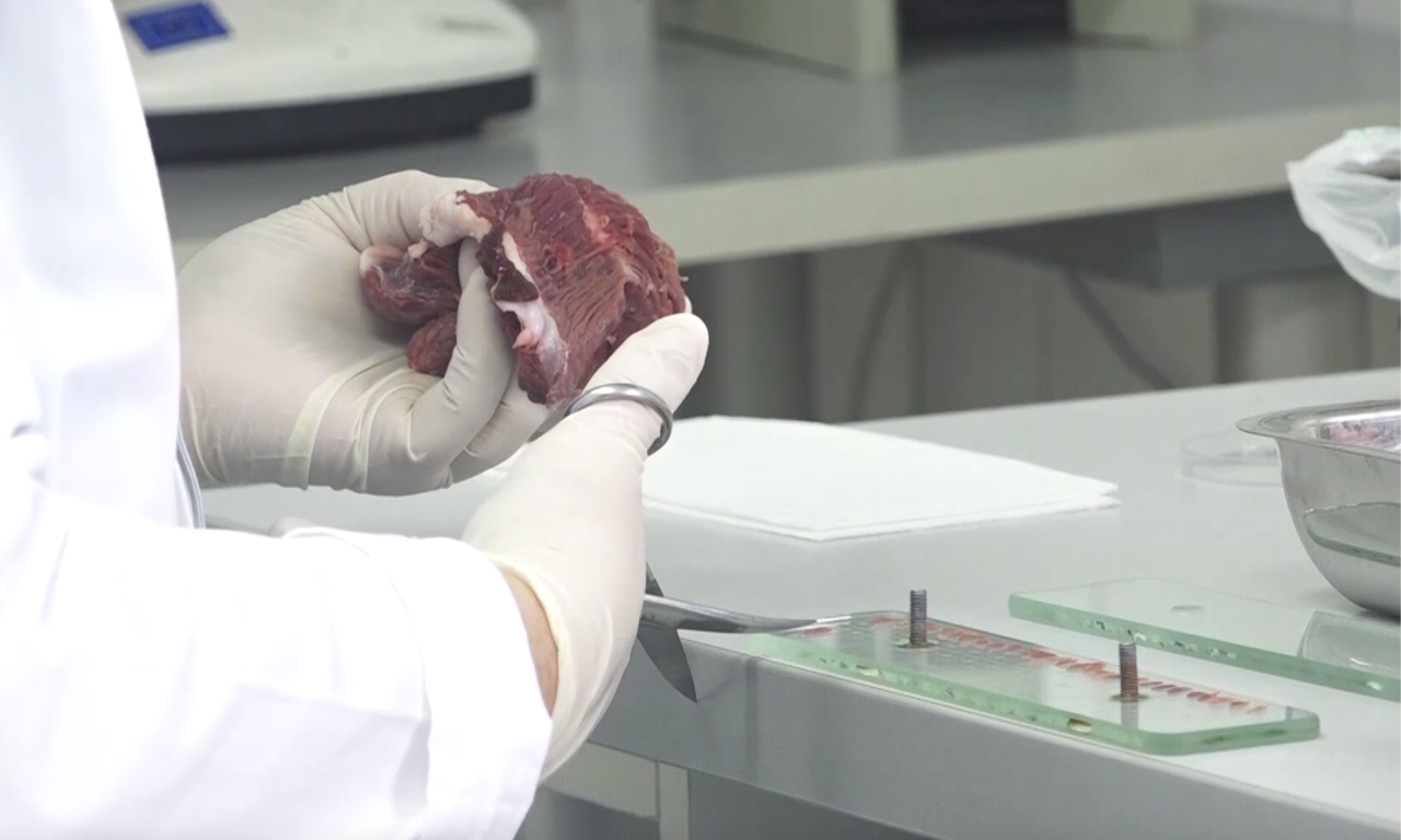 ALARM U SRBIJI! Otkrivena trihineloza u svinjskom mesu – ako ste ovo jeli, odmah kod lekara!