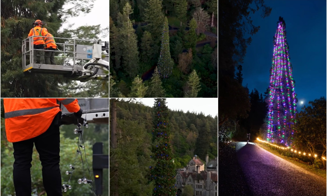 POGLEDAJTE KAKO IZGLEDA NAJVIŠA JELKA NA SVETU Prepelo božićno drvce oborilo Ginisov rekord! (VIDEO)