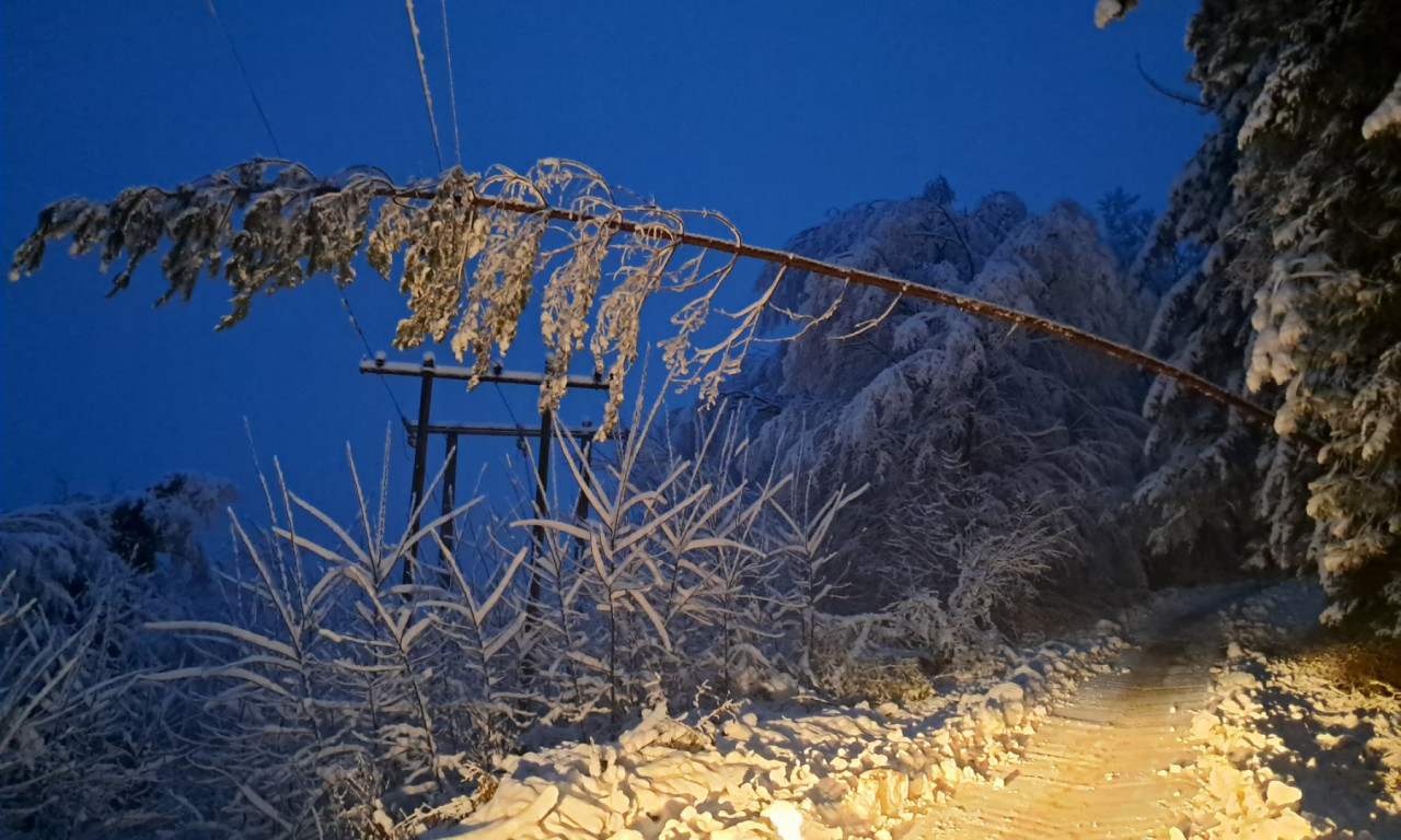 EVAKUACIJA ZBOG NEVREMENA U SRBIJI Dva okruga bez struje, ekipe za hitne intervencije u punoj pripravnosti