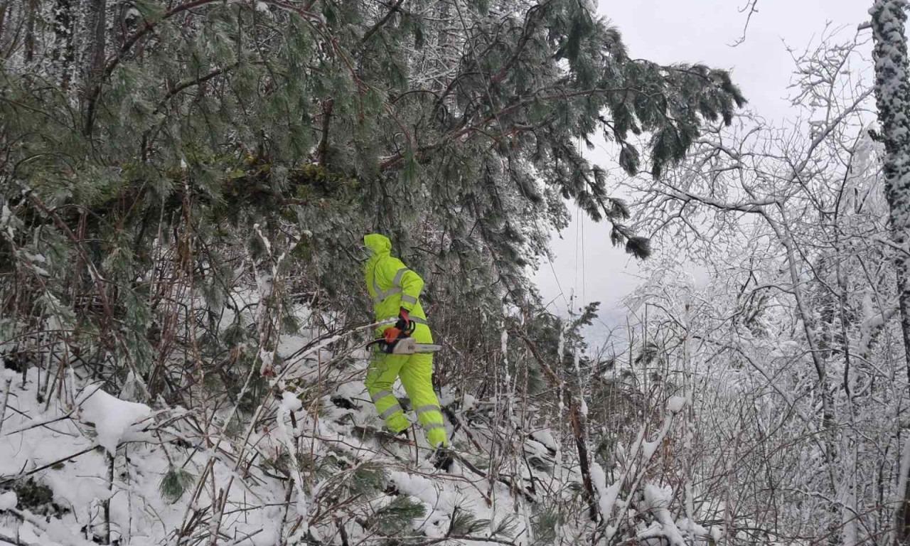 KADA ĆE GRAĐANI LOZNICE I VALJEVA KONAČNO IMATI STRUJU? Snežno nevreme napravilo haos, ovo su nove informacije (FOTO)