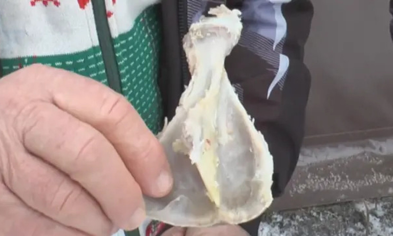 OTKRIVENO ŠTA NAS ČEKA U 2026. GODINI: Milan "pročitao" sudbinu iz plećke – evo da li će biti bolesti i nemira